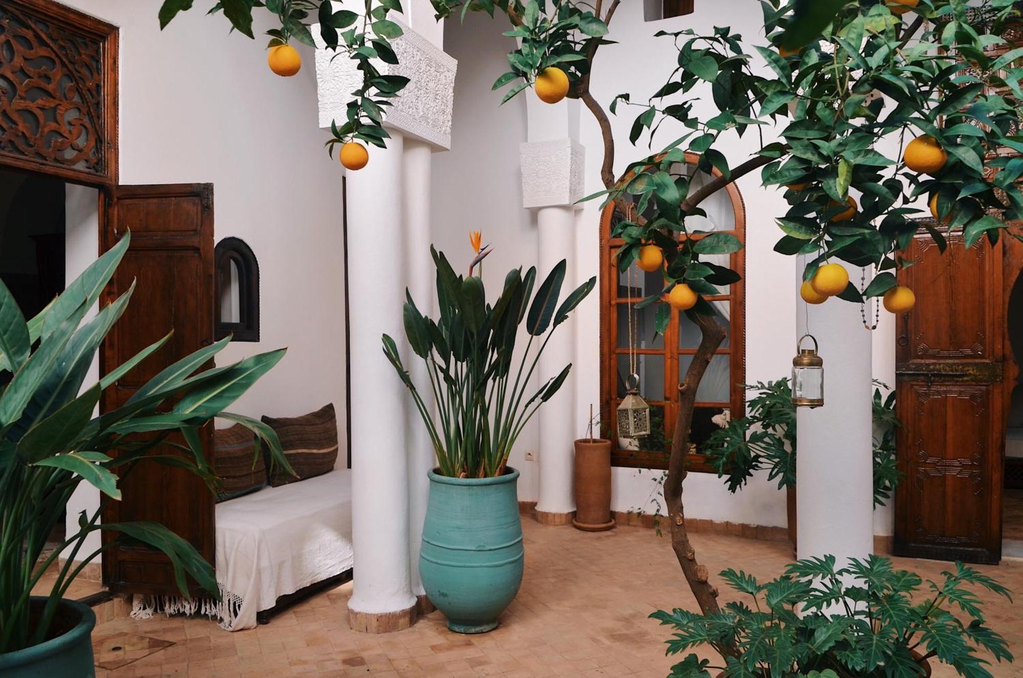 马拉喀什Nosade Venue住宿加早餐旅馆 外观 照片